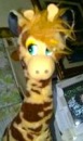 Benutzeravatar