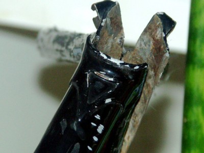 PICT0024.JPG