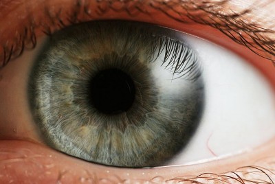 800pxEye_iris.jpg