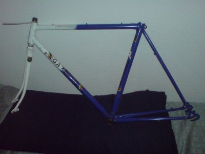 Gazelle_1000x750.JPG