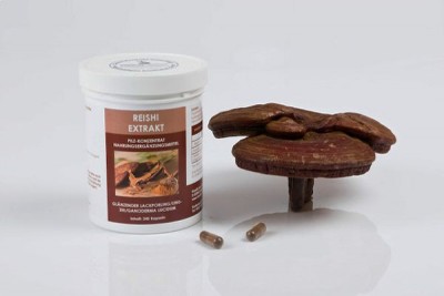 reishi.jpg