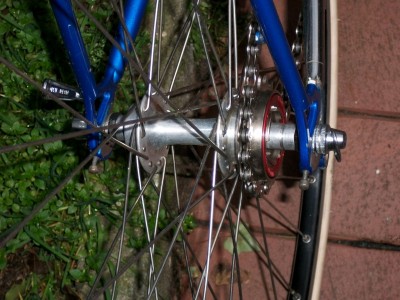 xt87.jpg