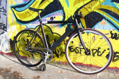 rasta-fix kleiner.jpg