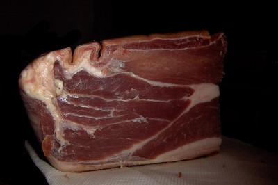 BILD8872.1.jpg