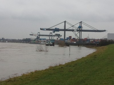 2011-01-12 12.42.07.jpg