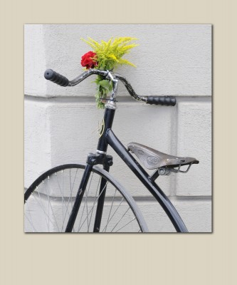 Velociped-a21431722.jpg
