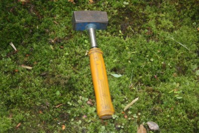 bilderrätsel.jpg