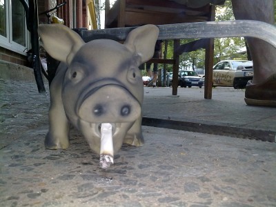 08072011146.jpg