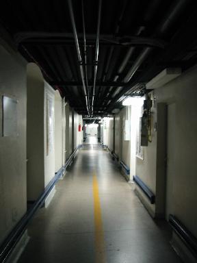 tunnel7.jpg