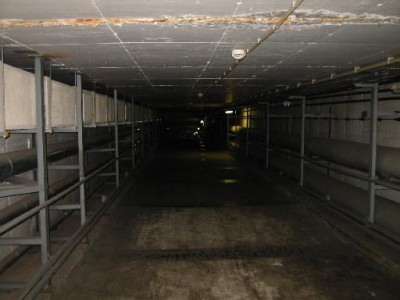 tunnel3.jpg
