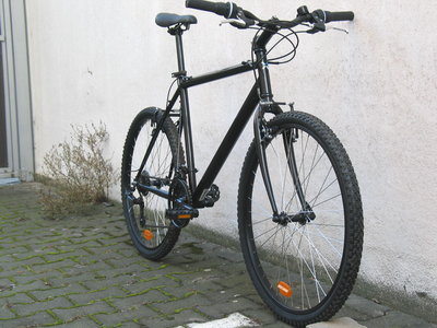steinreiter7166b.JPG